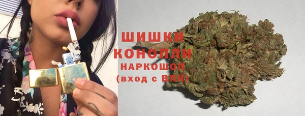 ГАЛЛЮЦИНОГЕННЫЕ ГРИБЫ Осташков