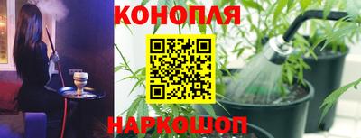 a pvp Пенза