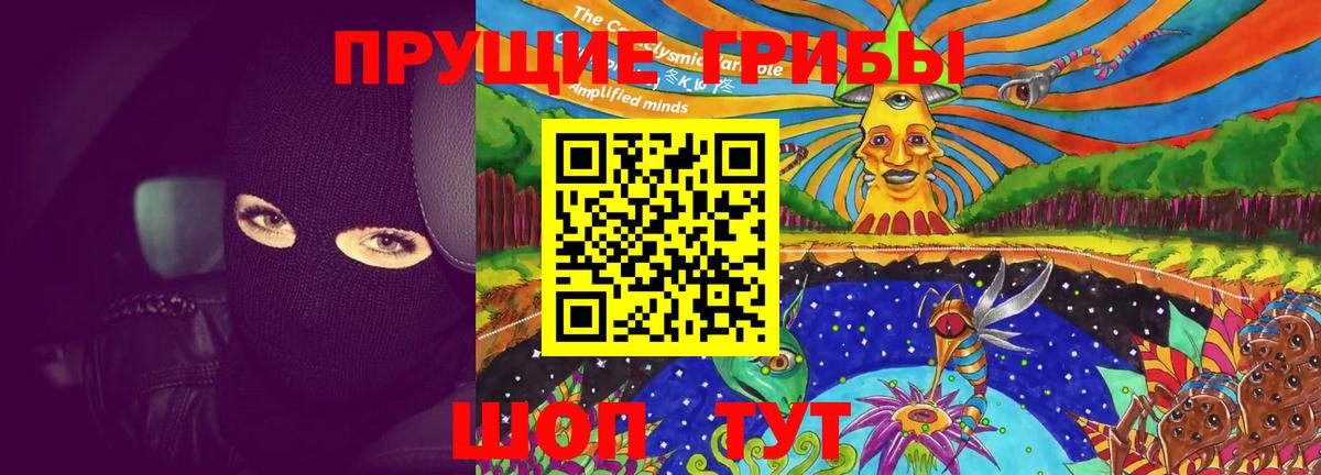 Псилоцибиновые грибы GOLDEN TEACHER Таганрог