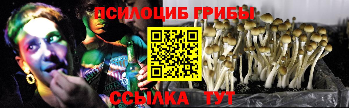 Галлюциногенные грибы мицелий  Вход с VPN  Таганрог 